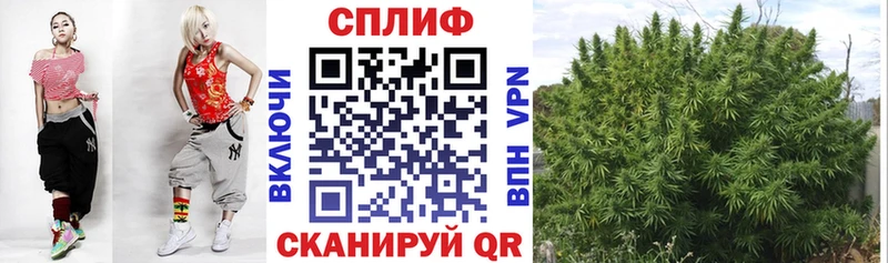 Где можно купить наркотики Кирово-Чепецк Гашиш  Каннабис  COCAIN  Alpha-PVP  Мефедрон 