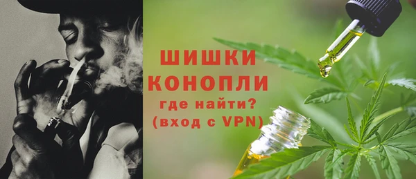 скорость Каменногорск