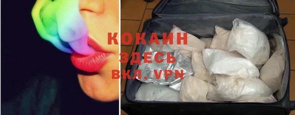 молекула духа Каменск-Шахтинский