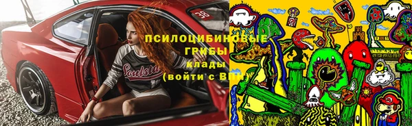 скорость Каменногорск