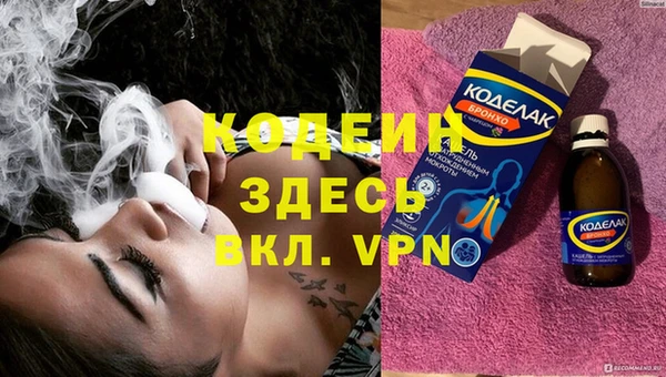дурь Инсар