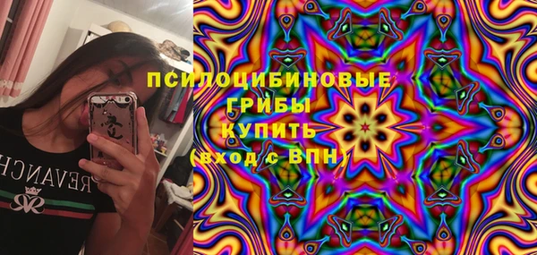 наркотики Каменка
