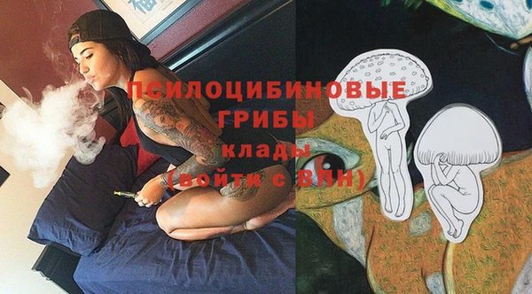 наркотики Каменка