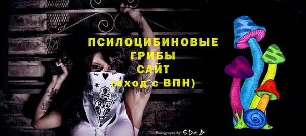 молекула духа Каменск-Шахтинский
