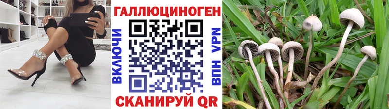 Псилоцибиновые грибы Cubensis МЕГА маркетплейс Кирово-Чепецк продажа наркотиков